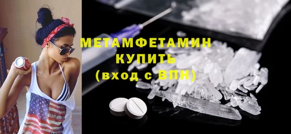 шишки Новодвинск