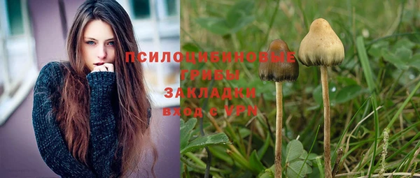 индика Абдулино