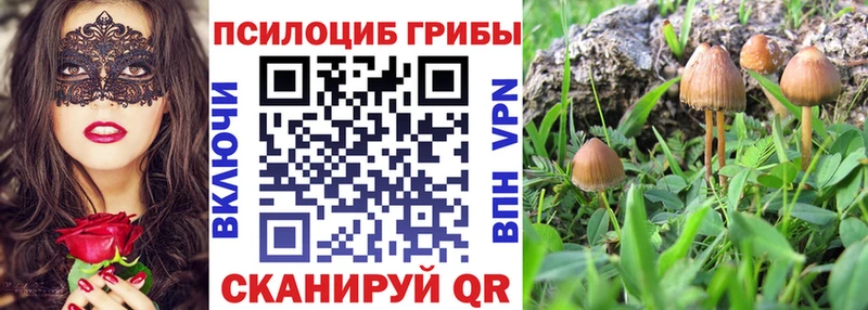 Псилоцибиновые грибы Psilocybine cubensis Суджа