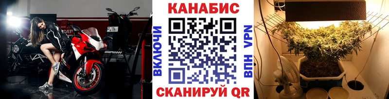 Бошки Шишки ГИДРОПОН  Суджа 